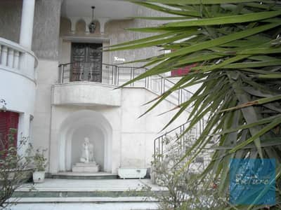 10+ Beds Villa for Sale in Nasr City, Cairo - 3d37e098-4029-40ba-9055-6a7362d4f2f4. jpg 10+ Beds Villa for Sale in Nasr City, Cairo - 3d37e098-4029-40ba-9055-6a7362d4f2f4. jpg