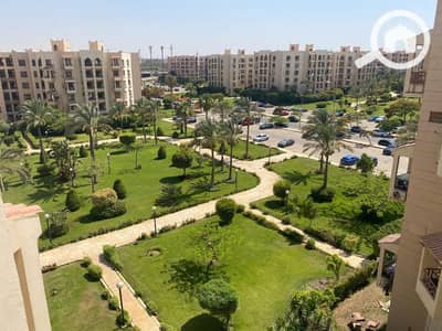 2 Bedroom Apartment for Rent in New Cairo, Cairo - 1003724591. jpg 2 Bedroom Apartment for Rent in New Cairo, Cairo - 1003724591. jpg