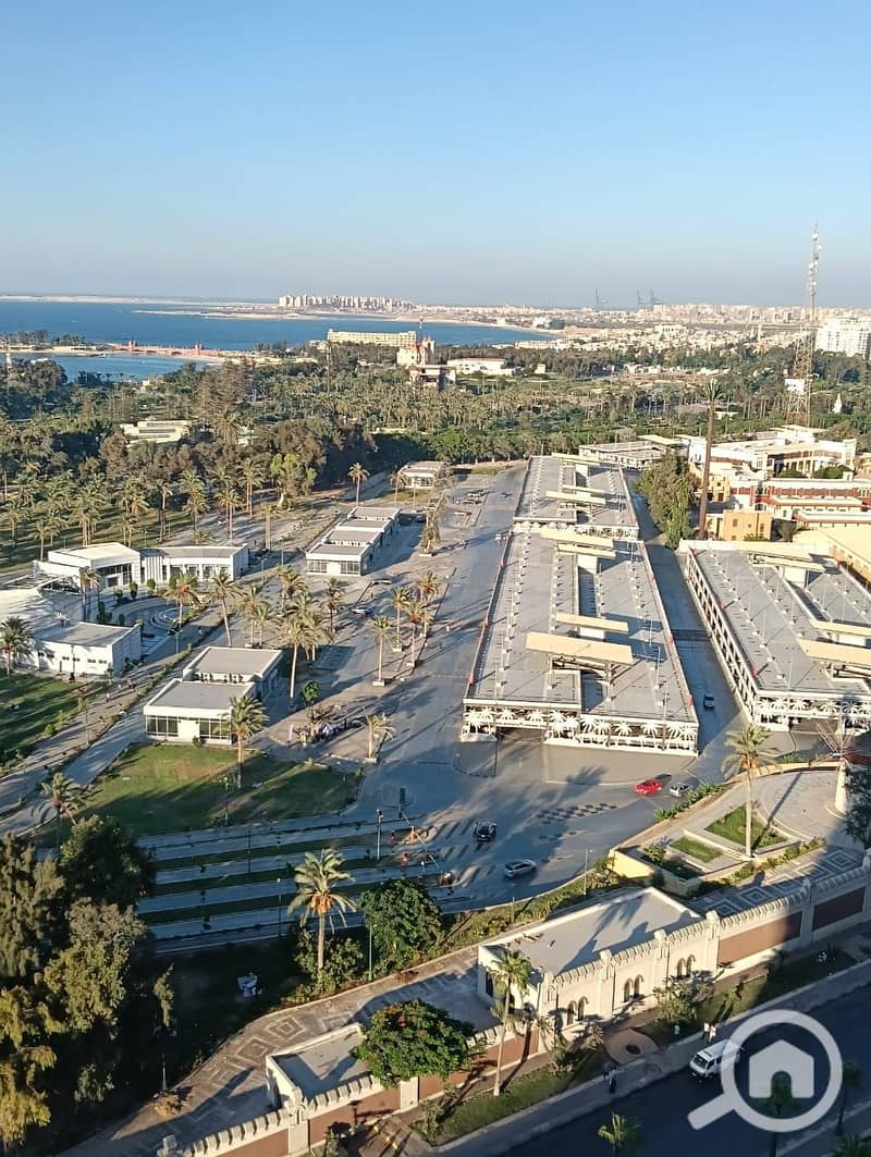 16 1000585036. jpg