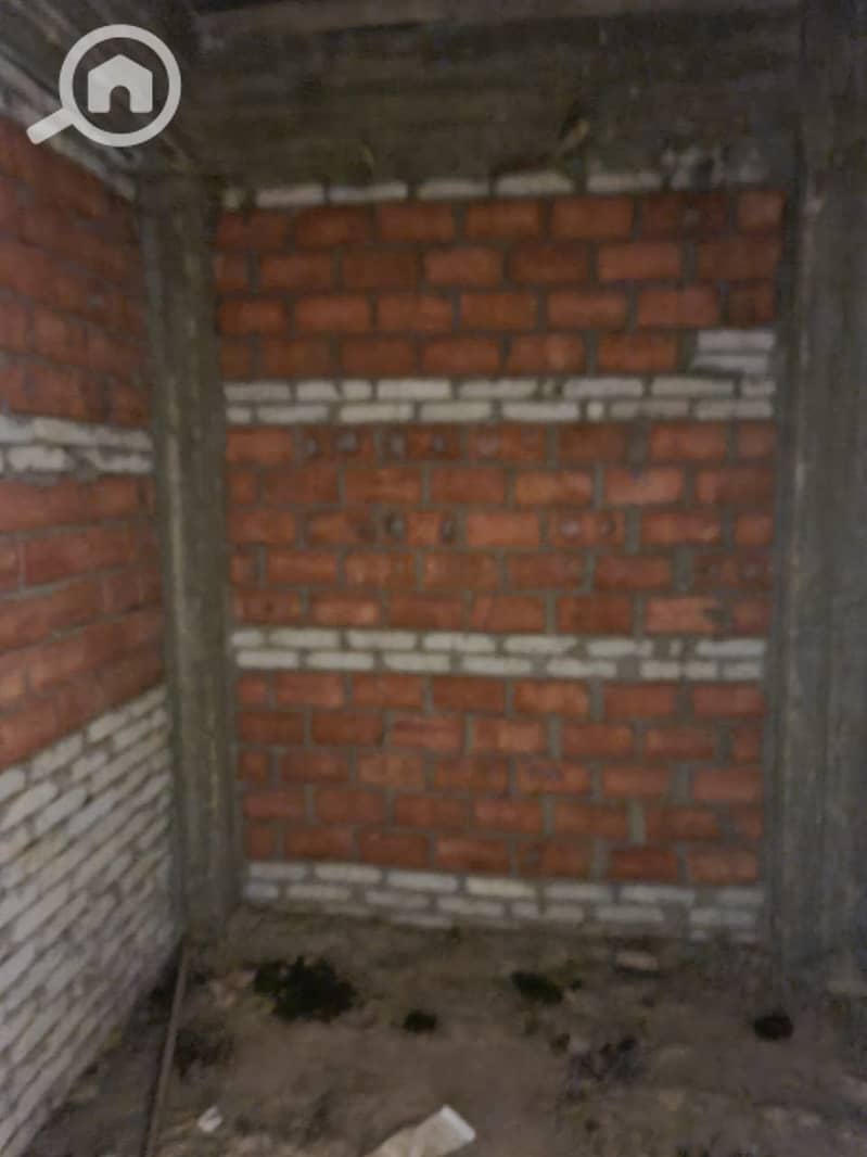9 1003457664. jpg