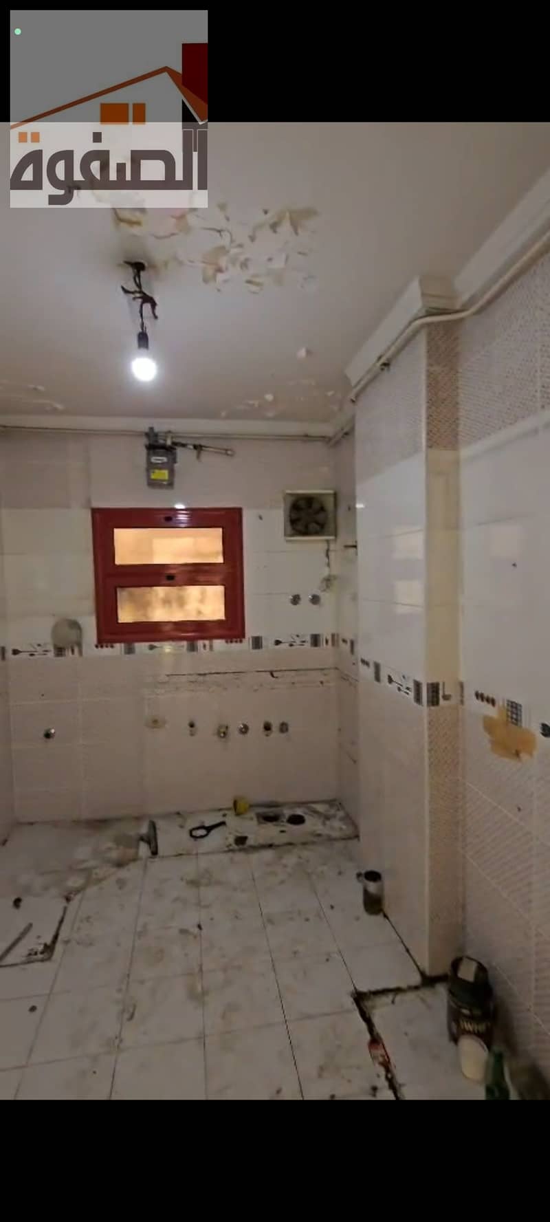 3 105359. jpg