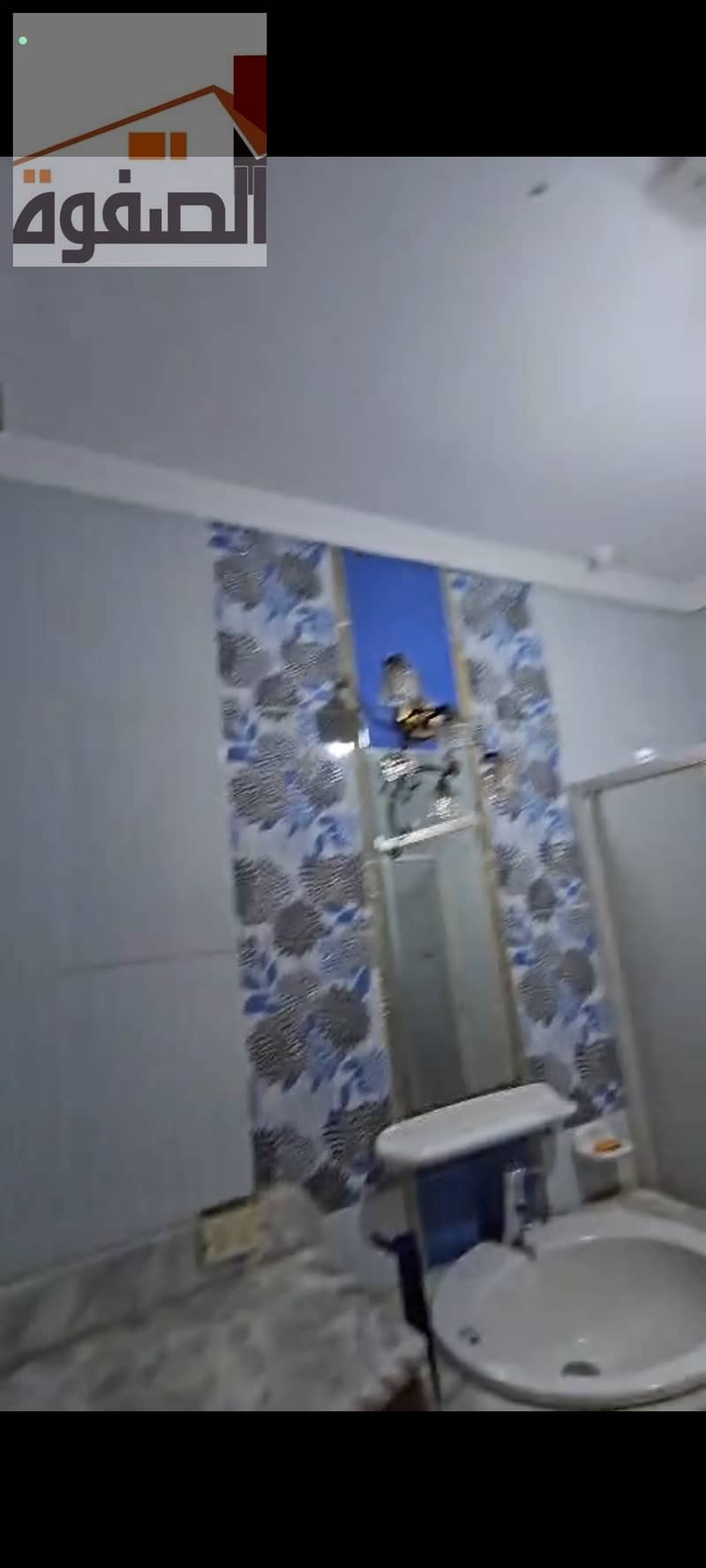 5 105362. jpg