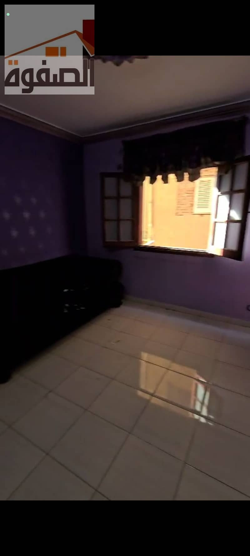 6 105360. jpg