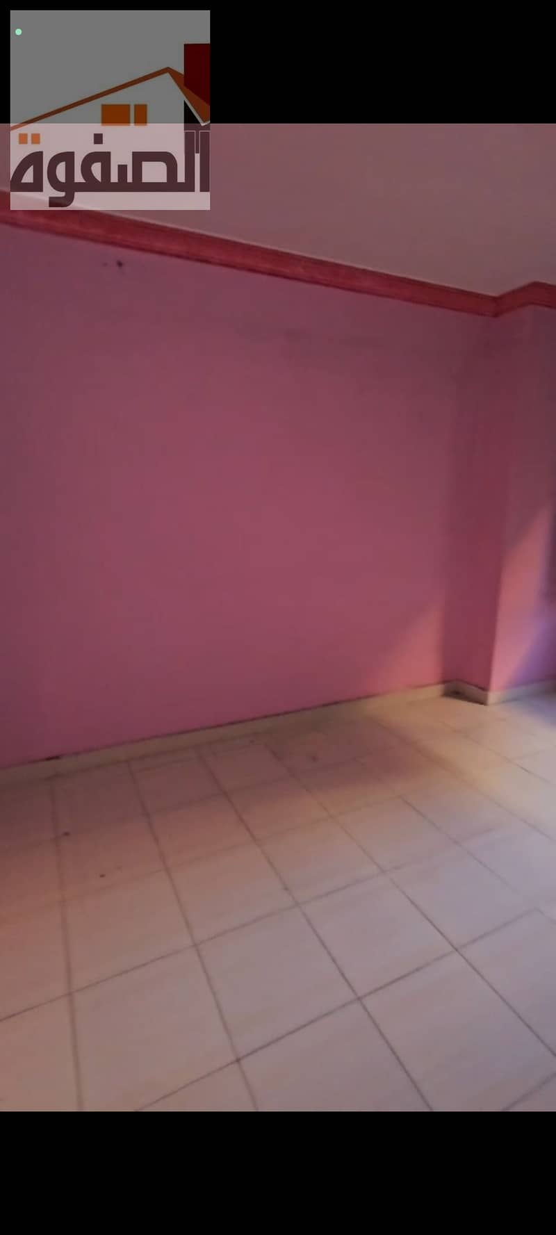 9 105363. jpg