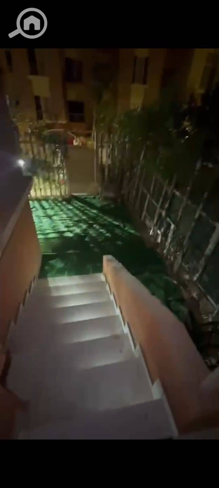 10 1000065204. jpg