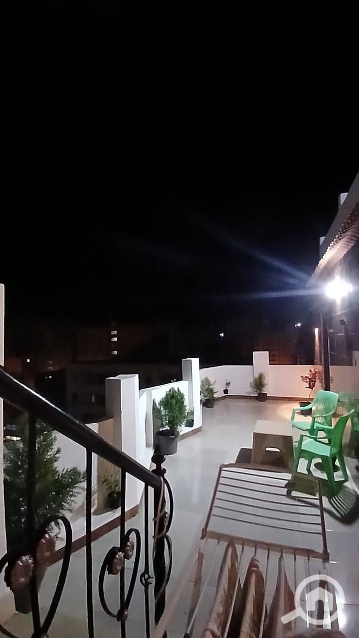 3 52074. jpg