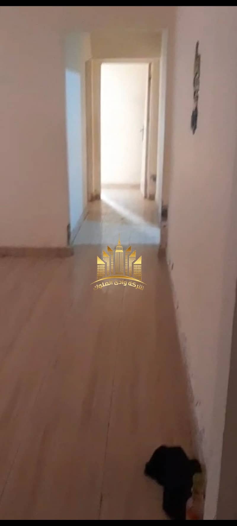 4 7374. jpg