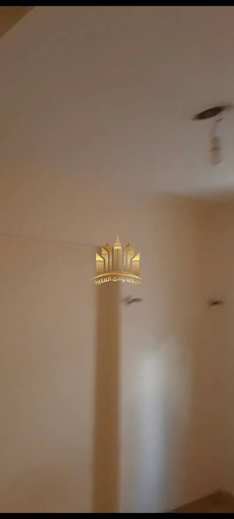 9 7379. jpg