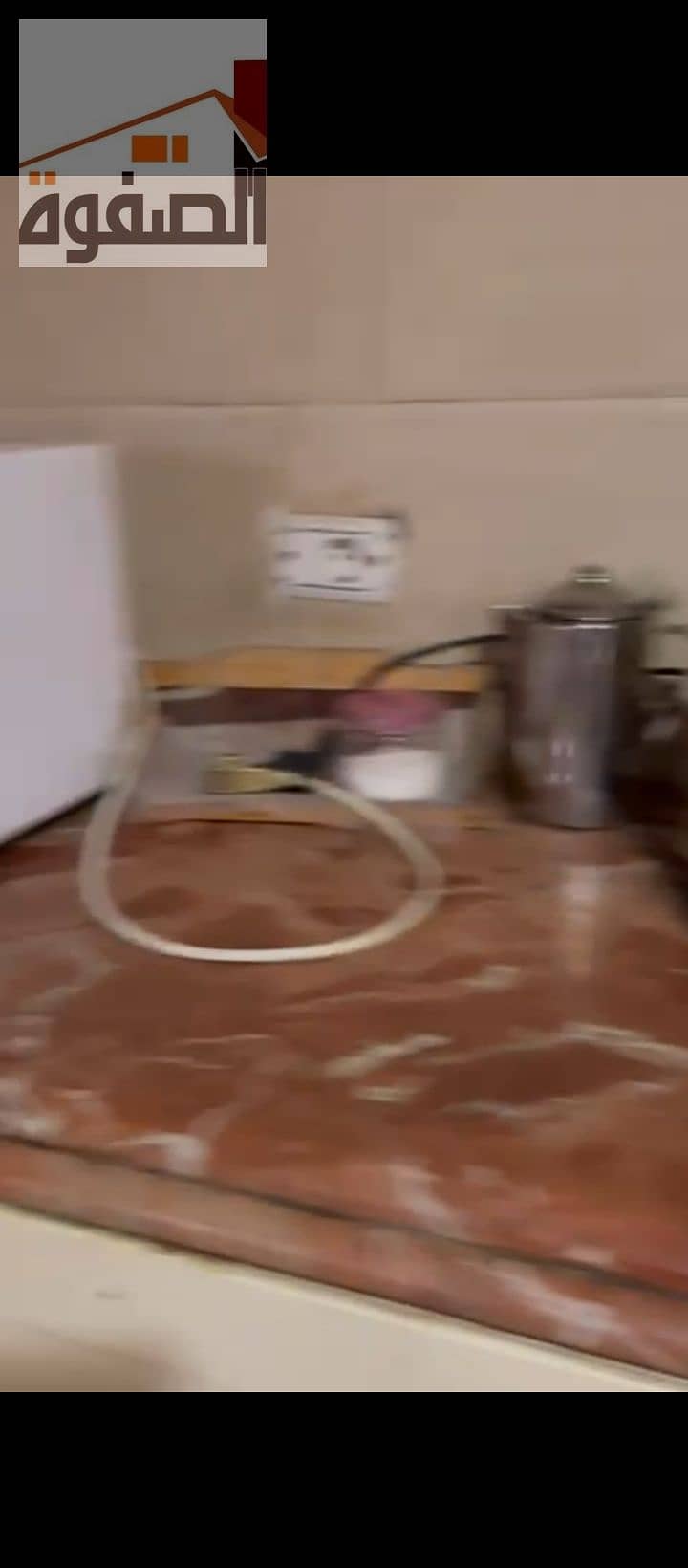 13 1000239300. jpg