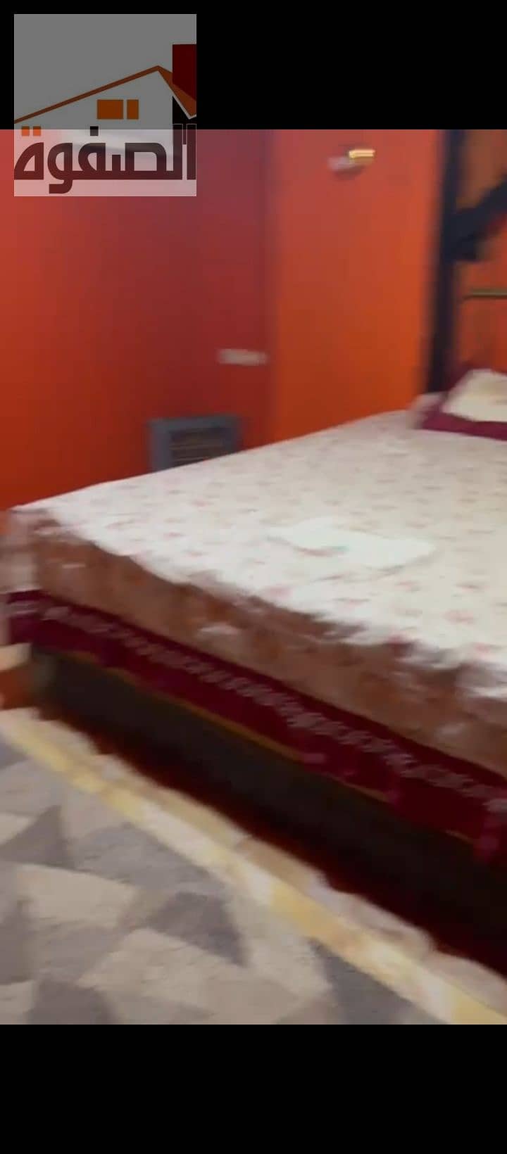 17 1000239320. jpg