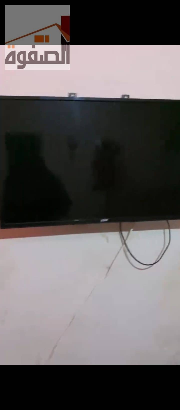 7 1000239397. jpg