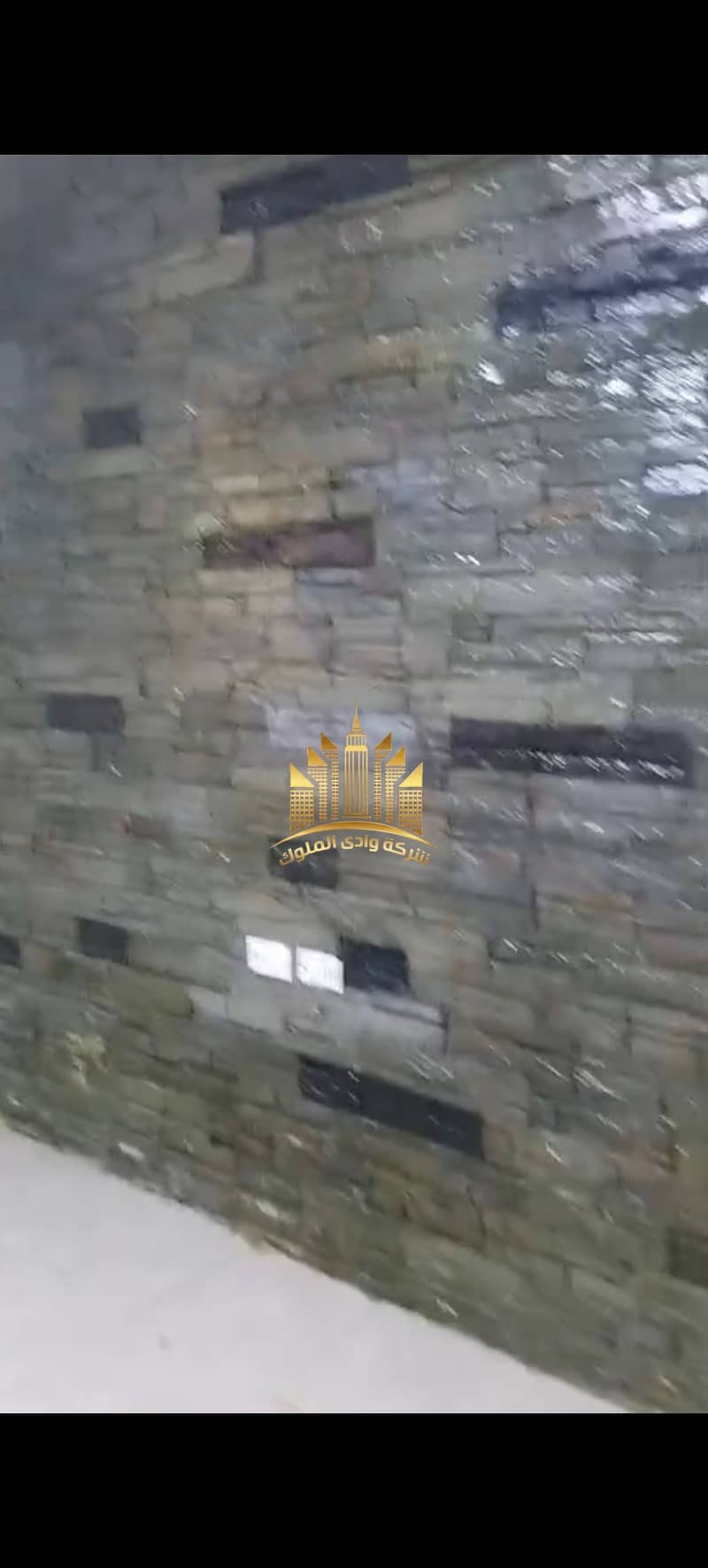 21 7628. jpg