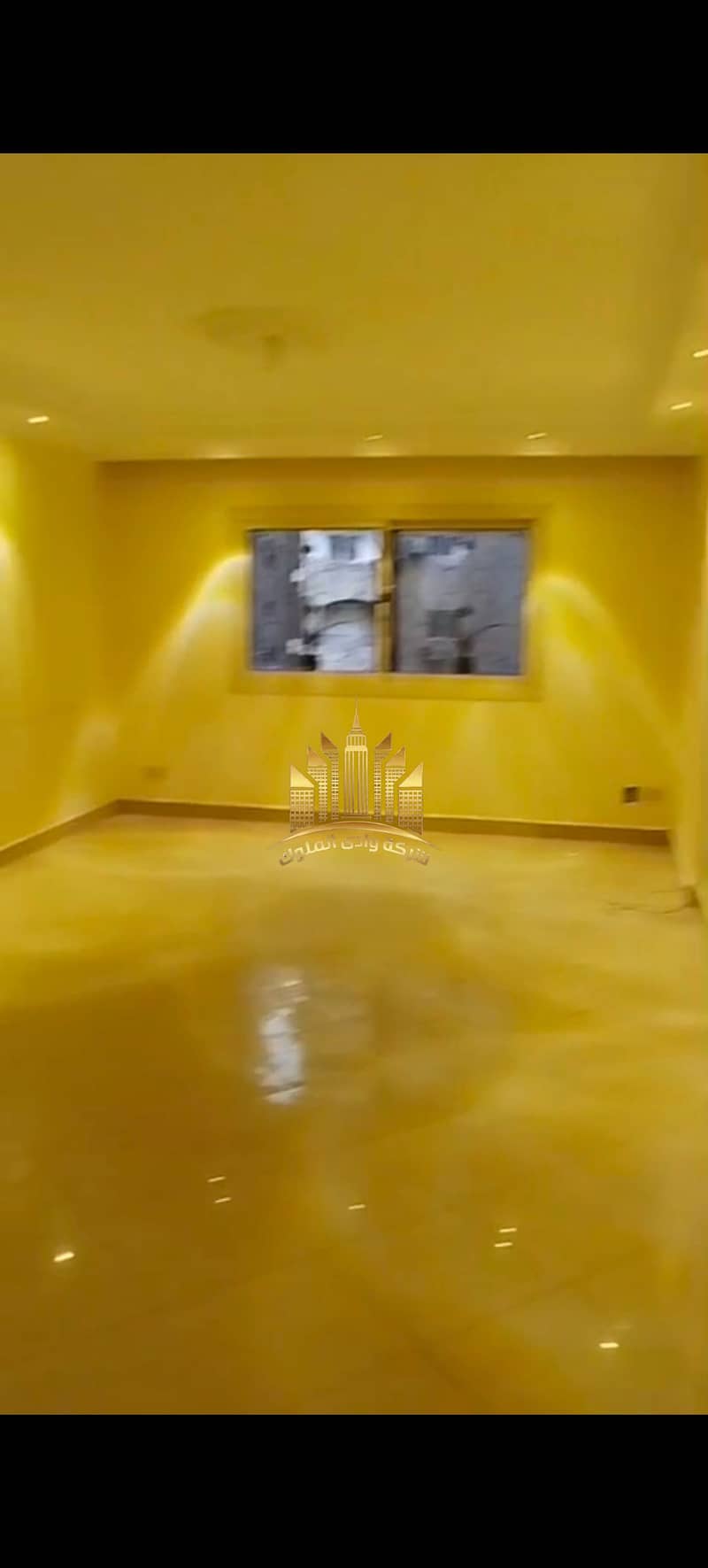8 7636. jpg