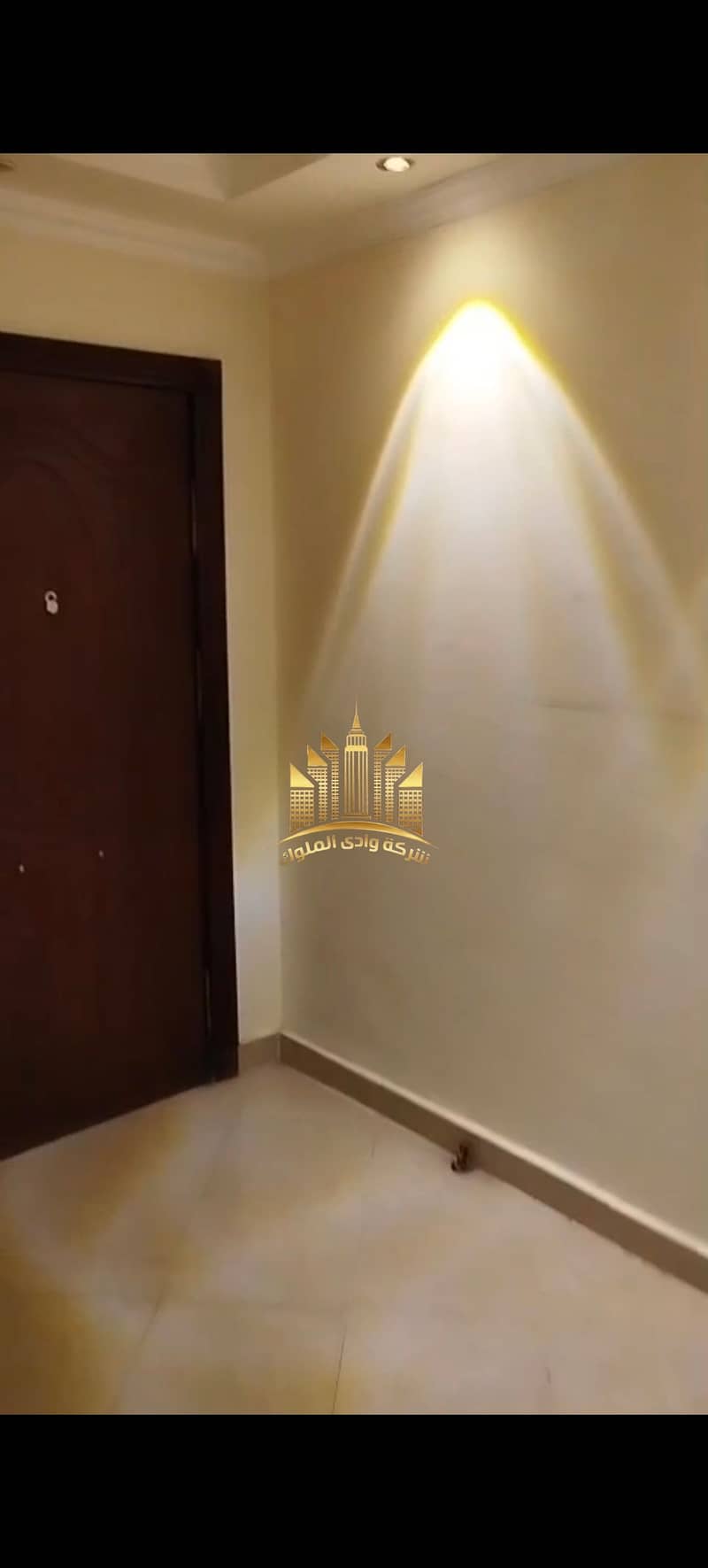 11 7641. jpg