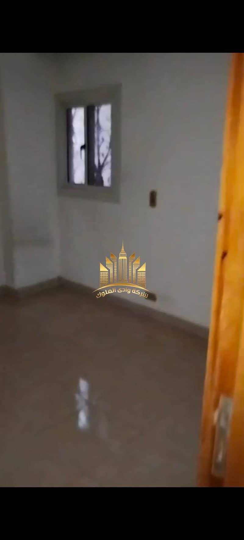 29 7661. jpg