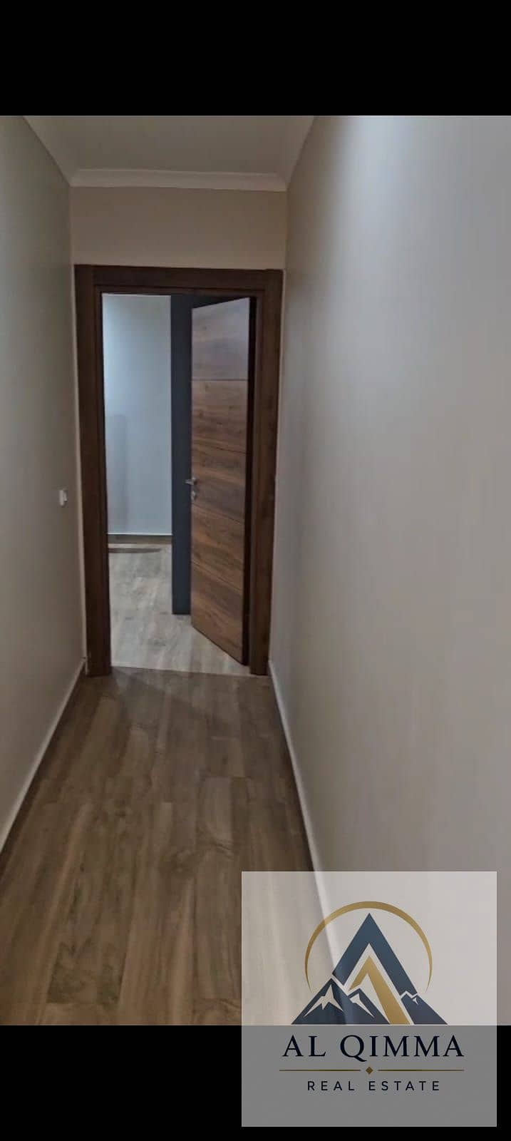 4 254028. jpg