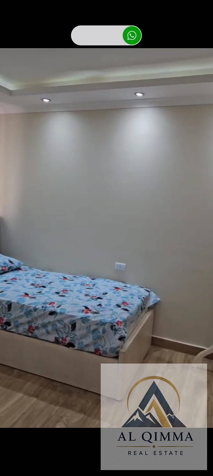 6 254029. jpg