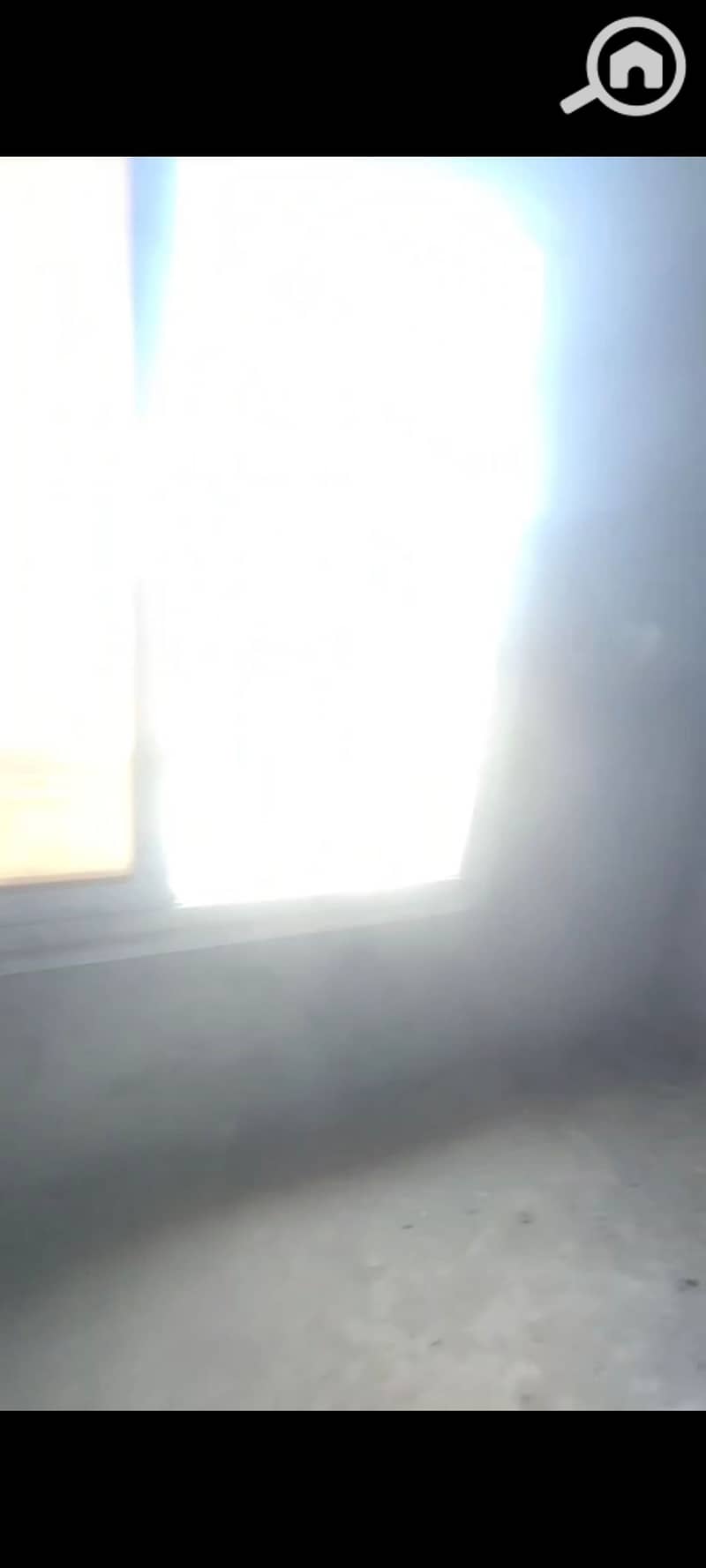 12 1000400962. jpg