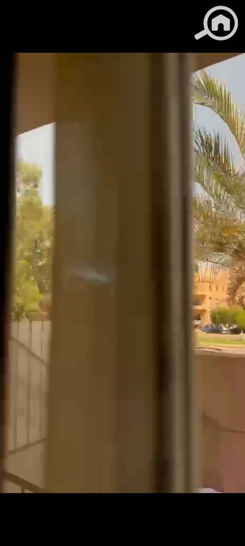 9 1000400973. jpg