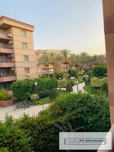 فلیٹ 3 غرف نوم للبيع في القاهرة الجديدة، القاهرة - WhatsApp Image 2026-07-24 at 2.24. 57 PM. jpeg فلیٹ 3 غرف نوم للبيع في القاهرة الجديدة، القاهرة - WhatsApp Image 2026-07-24 at 2.24. 57 PM. jpeg
