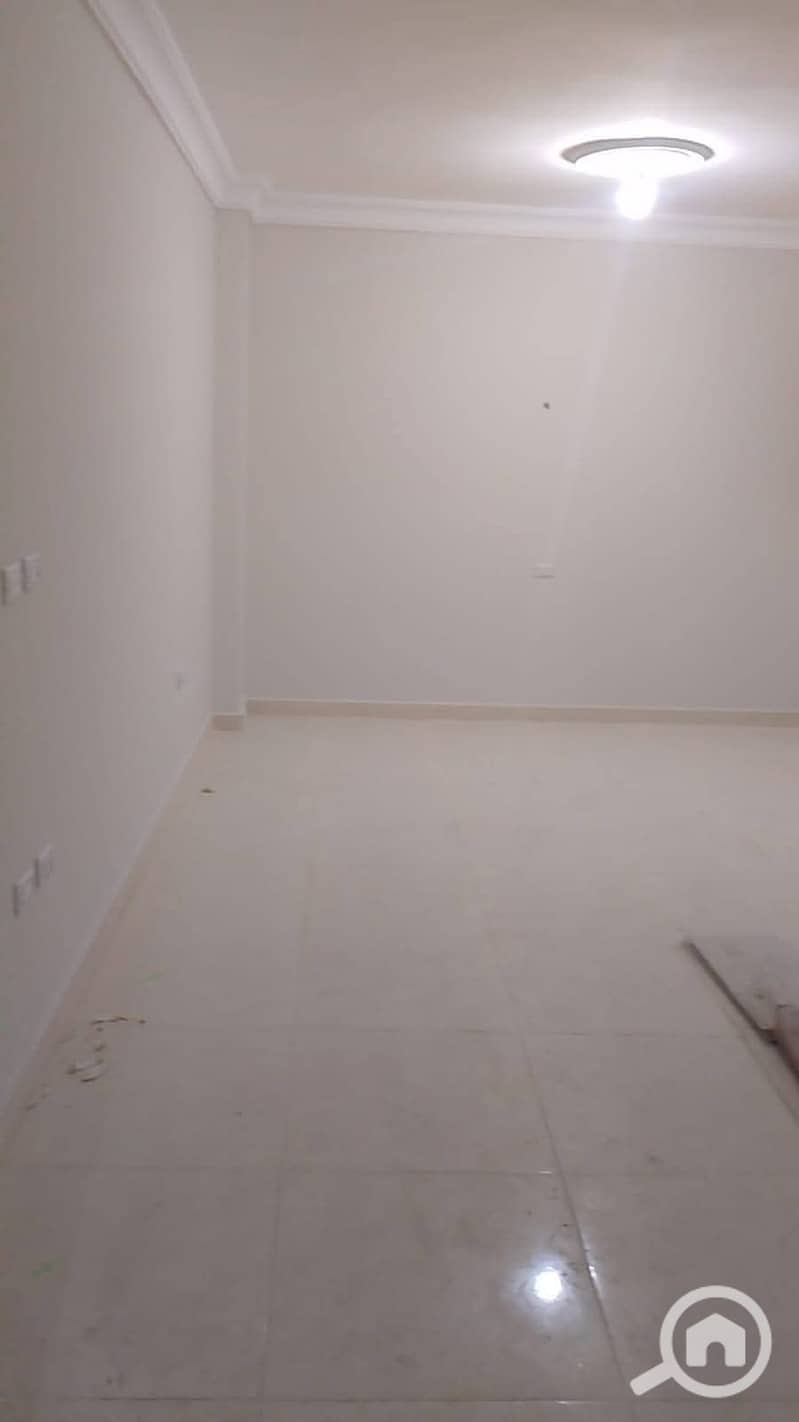 3 129454. jpg