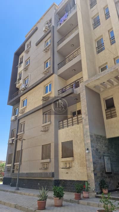 3 Bedroom Flat for Rent in New Cairo, Cairo - 1000208794. jpg 3 Bedroom Flat for Rent in New Cairo, Cairo - 1000208794. jpg