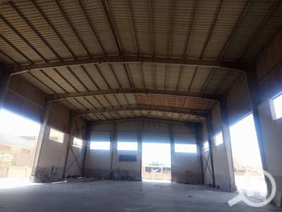 مصنع للايجار في العامرية، الإسكندرية - IMG_0855. jpg مصنع للايجار في العامرية، الإسكندرية - IMG_0855. jpg