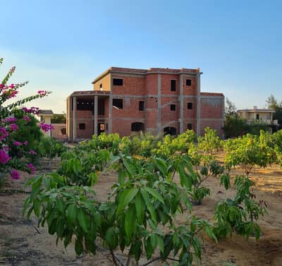 6 Bedroom Villa for Sale in 6th of October, Giza - فيلا علي فدان في الريف الاوربي مدينه سفنكس الجديده 6 Bedroom Villa for Sale in 6th of October, Giza - فيلا علي فدان في الريف الاوربي مدينه سفنكس الجديده