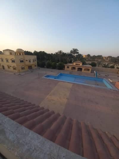أرض للبيع في العبور، القاهرة - جمعيه احمد عرابى أرض للبيع في العبور، القاهرة - جمعيه احمد عرابى