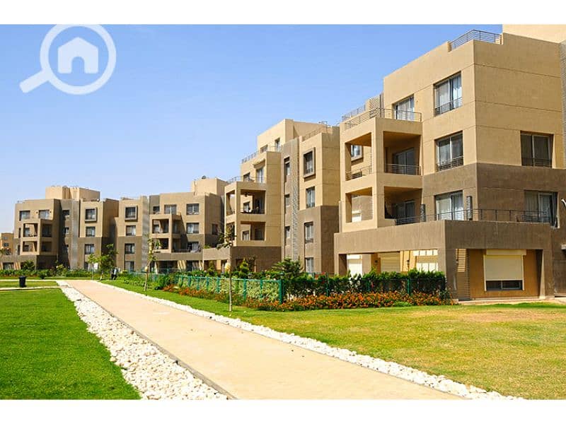 6 Palm Parks 2. jpg