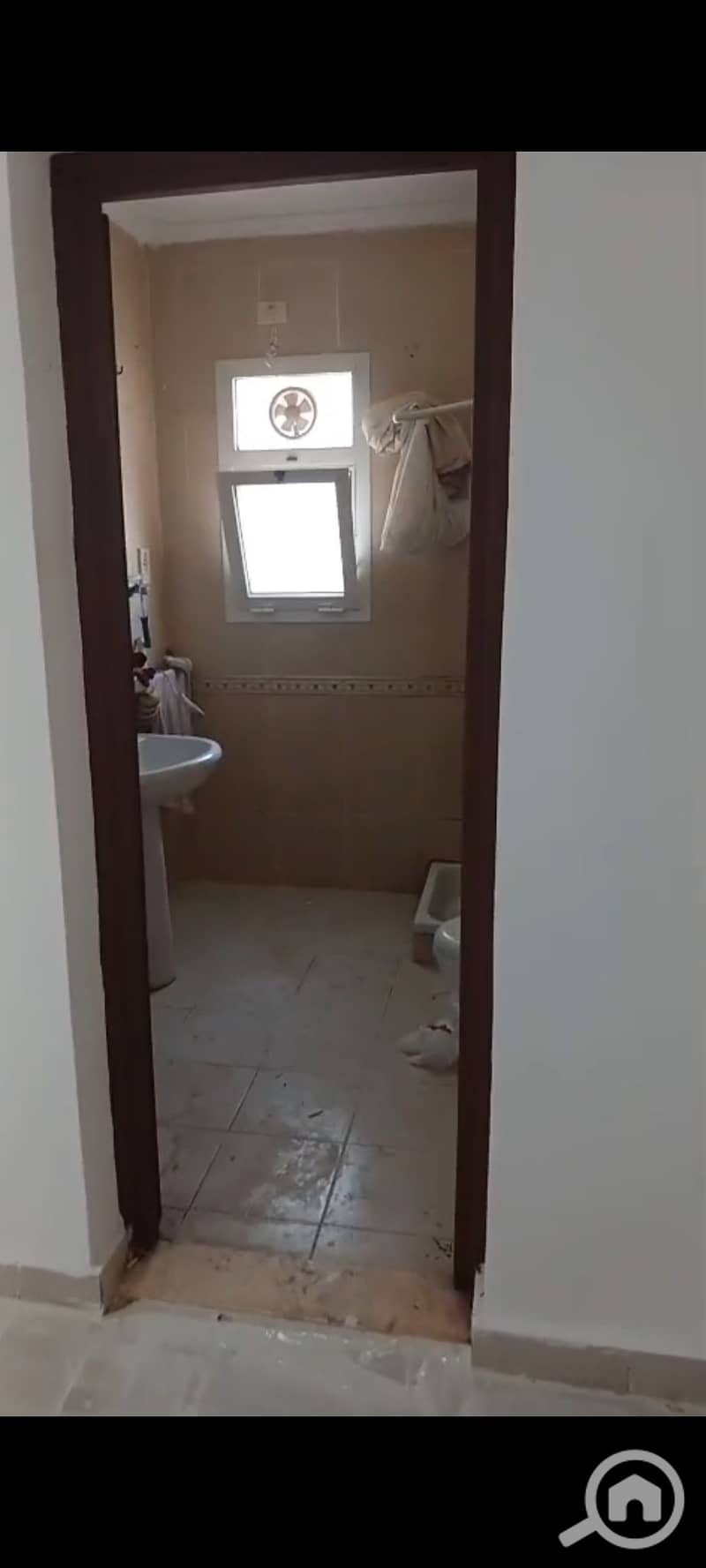 7 1000921305. jpg