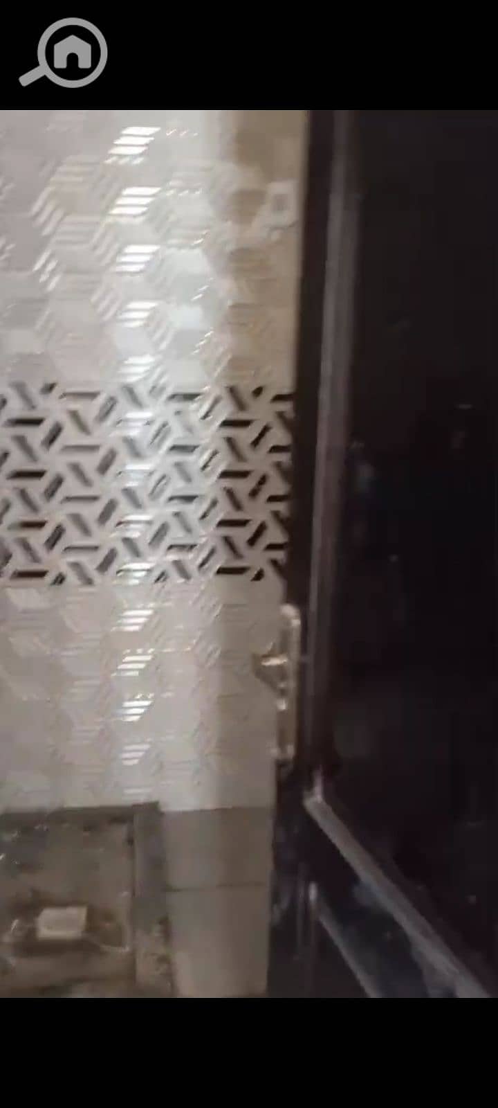 7 1000065854. jpg