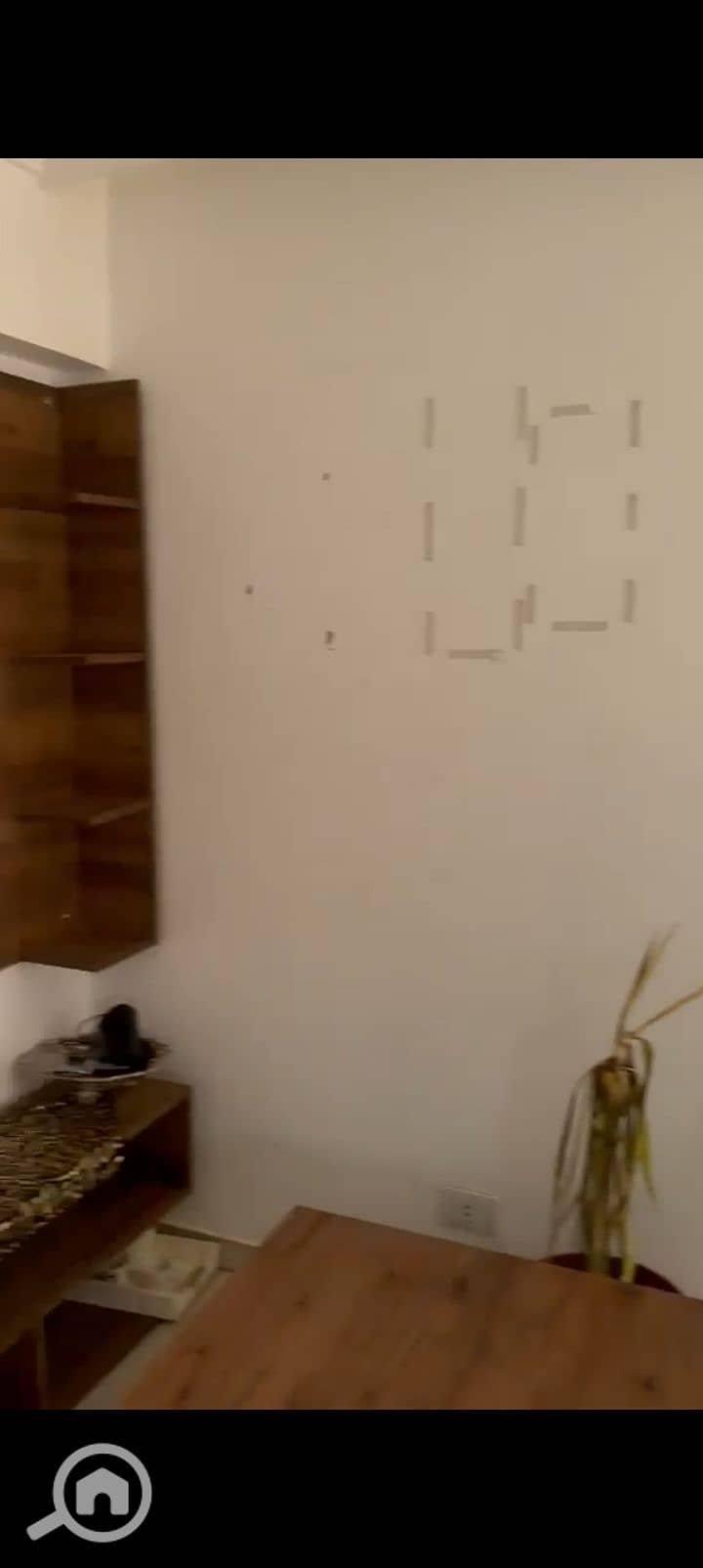 8 1000396247. jpg