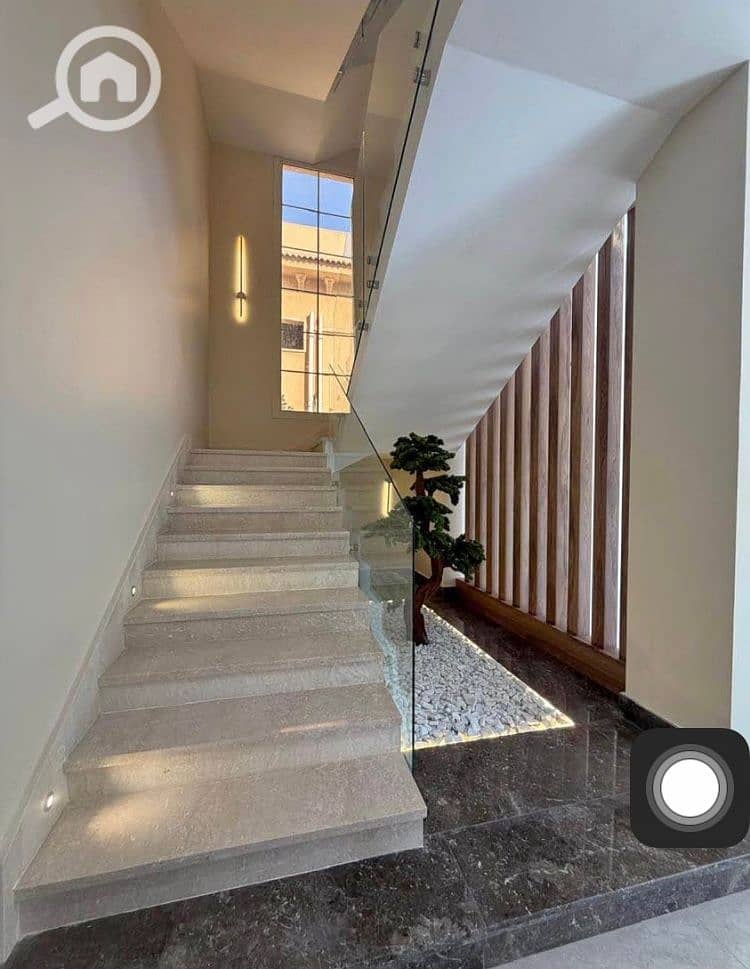 5 IMG_4781. jpg