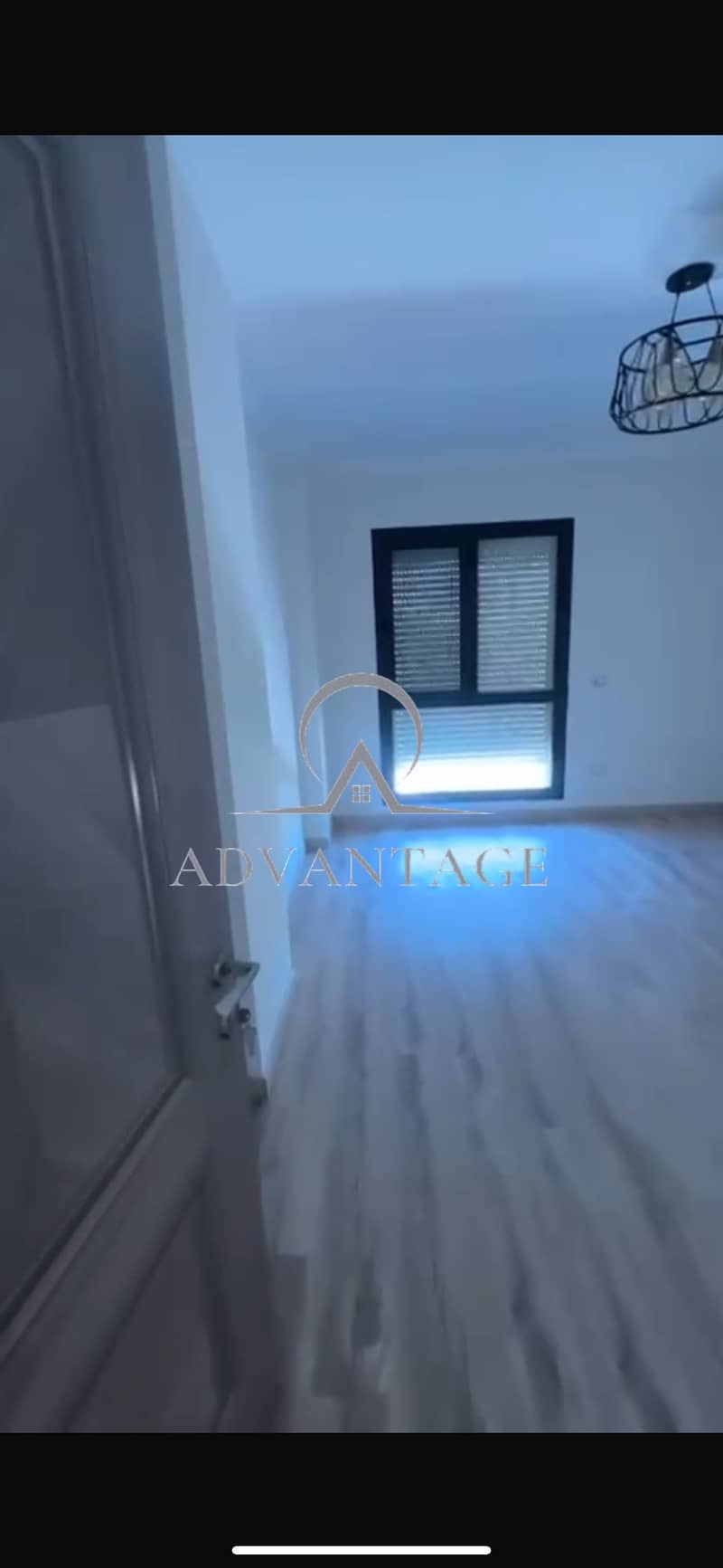 4 IMG_9011. png