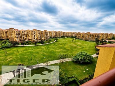 3 Bedroom Flat for Sale in Madinaty, Cairo - 691728. jpg 3 Bedroom Flat for Sale in Madinaty, Cairo - 691728. jpg