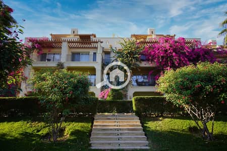 1 Bedroom Chalet for Sale in Sahl Hasheesh, Red Sea - WhatsApp Image 2026-04-22 at 2.46. 23 PM. jpeg 1 Bedroom Chalet for Sale in Sahl Hasheesh, Red Sea - WhatsApp Image 2026-04-22 at 2.46. 23 PM. jpeg