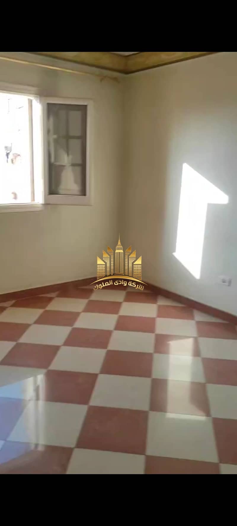 33 8161. jpg