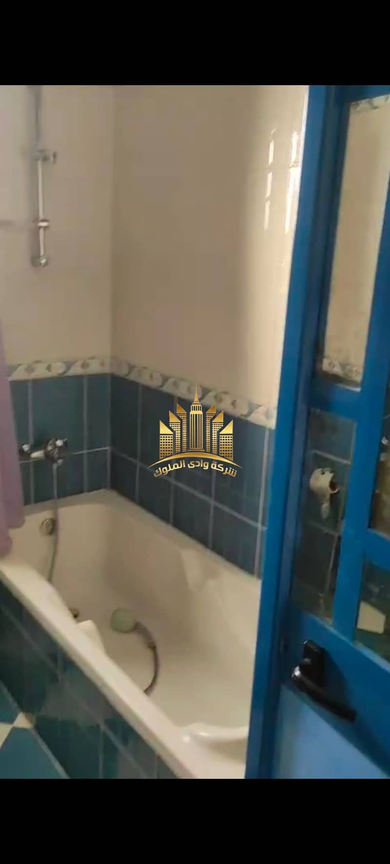 37 8167. jpg