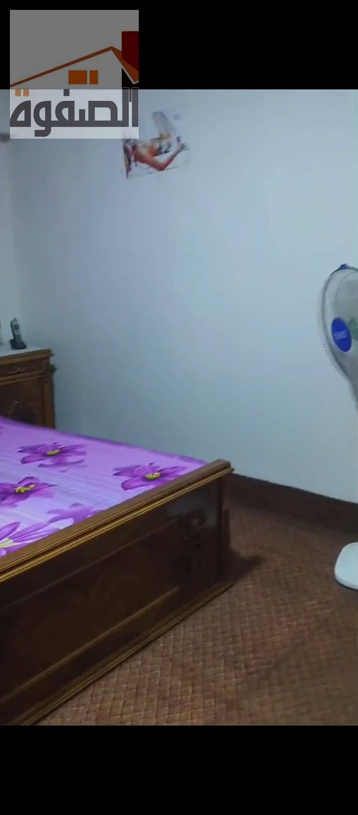 12 1000240322. jpg