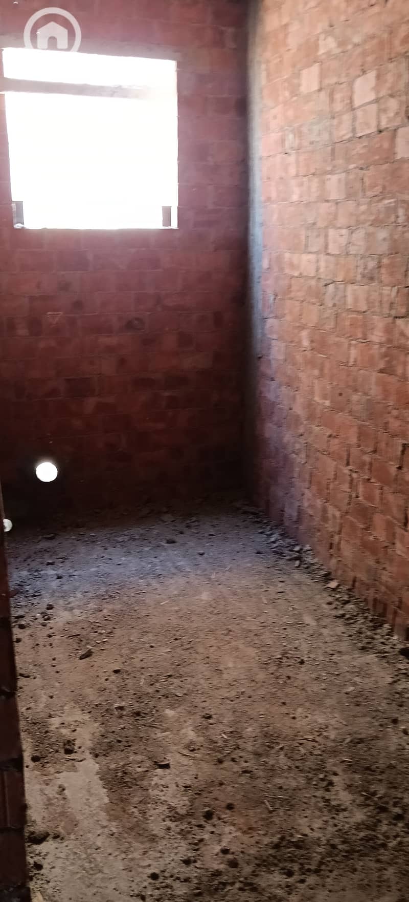4 92580. jpg