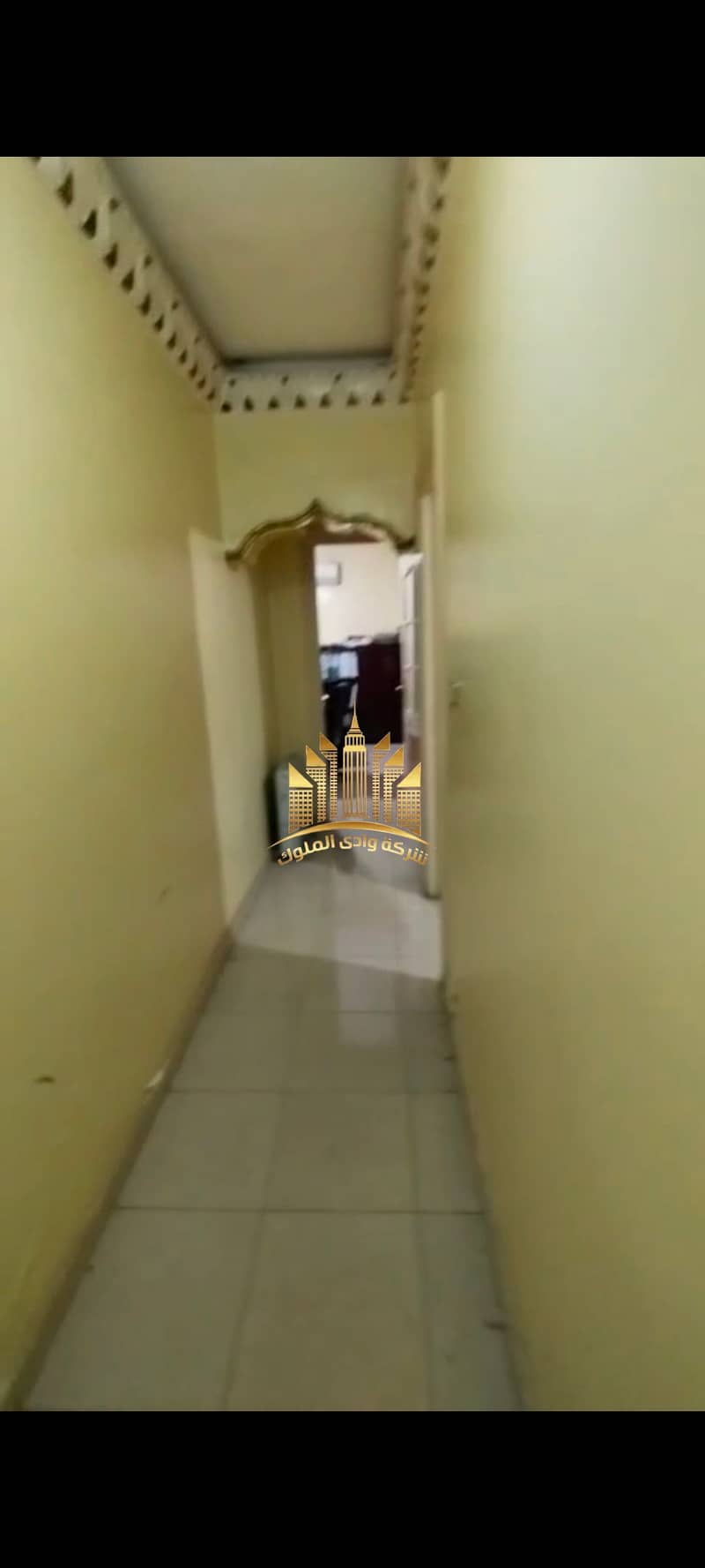 2 1001050950. jpg