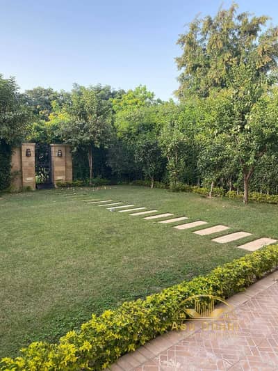 3 Bedroom Villa for Rent in Madinaty, Cairo - 725757223_990439470410955_100591068289489424_n. jpg