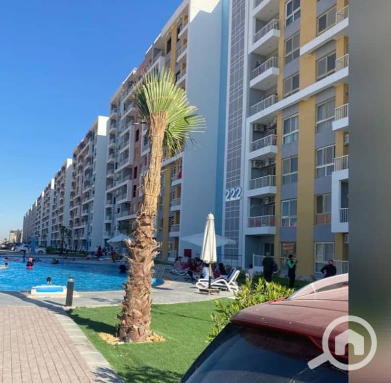11 IMG_5739. jpg