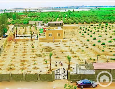 Agricultural Land for Sale in New Fayoum, Fayoum - 1000069689. jpg