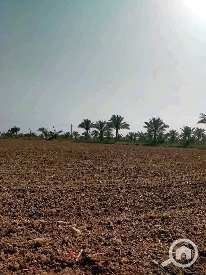 4 1000077217. jpg