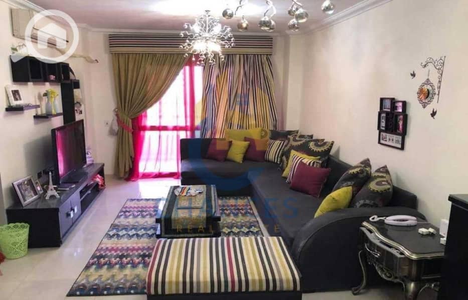 2 WhatsApp-Image-2021-02-05-at-20.03. 41. jpg