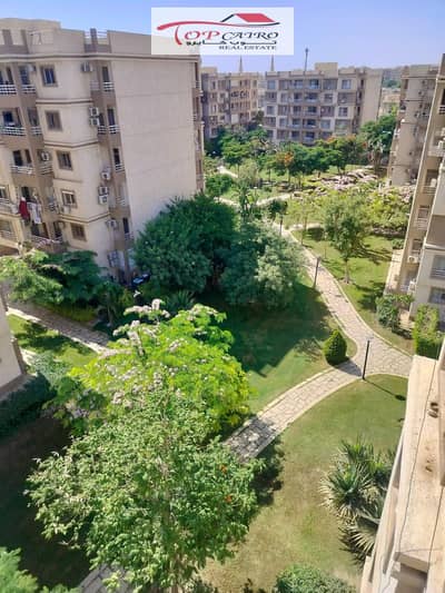 3 Bedroom Flat for Rent in Madinaty, Cairo - 1001121469. jpg 3 Bedroom Flat for Rent in Madinaty, Cairo - 1001121469. jpg