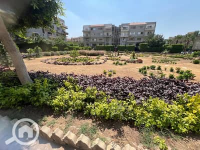 فلیٹ 3 غرف نوم للايجار في القاهرة الجديدة، القاهرة - WhatsApp Image 2026-07-25 at 2.00. 08 PM. jpeg فلیٹ 3 غرف نوم للايجار في القاهرة الجديدة، القاهرة - WhatsApp Image 2026-07-25 at 2.00. 08 PM. jpeg