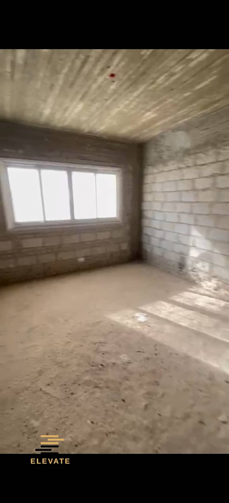 2 346971. jpg